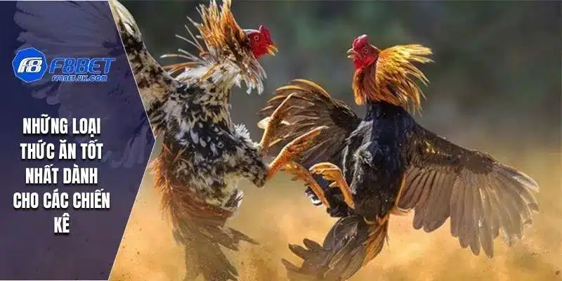Những loại thức ăn tốt nhất dành cho các chiến kê