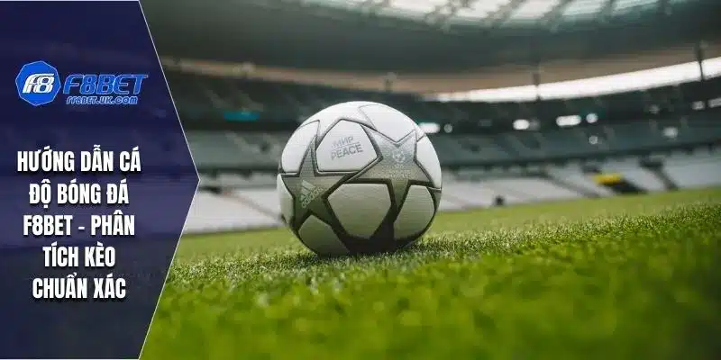 Hướng Dẫn Cá Độ Bóng Đá