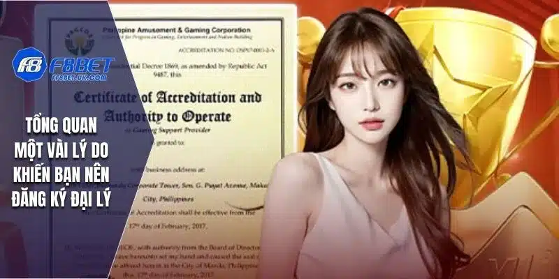 Tổng quan một vài lý do khiến bạn nên đăng ký đại lý