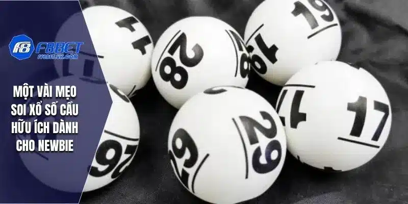 Một vài mẹo soi xổ số cầu hữu ích dành cho newbie