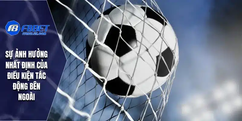 Sự ảnh hưởng nhất định của điều kiện tác động bên ngoài