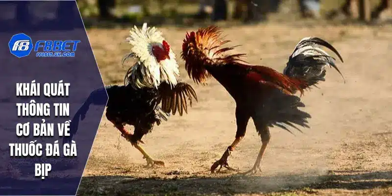 Khái quát thông tin cơ bản về thuốc đá gà bịp