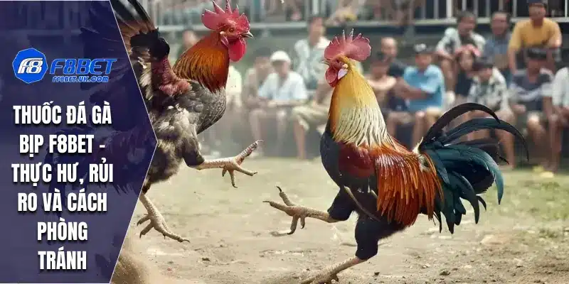 Bí quyết phòng tránh thuốc chọi gà bịp
