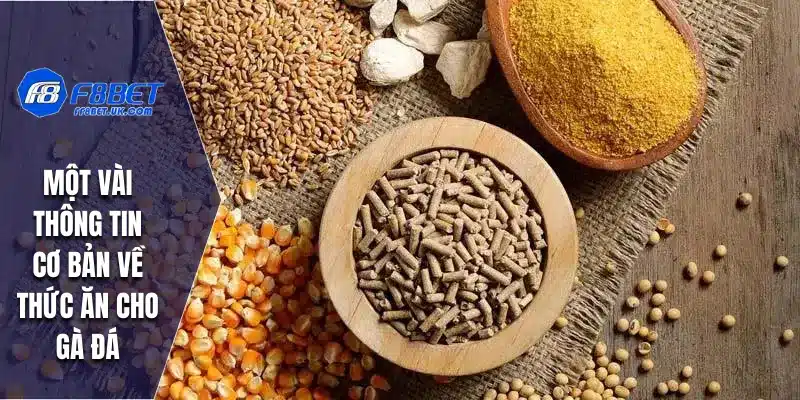 Một vài thông tin cơ bản về thức ăn cho gà đá