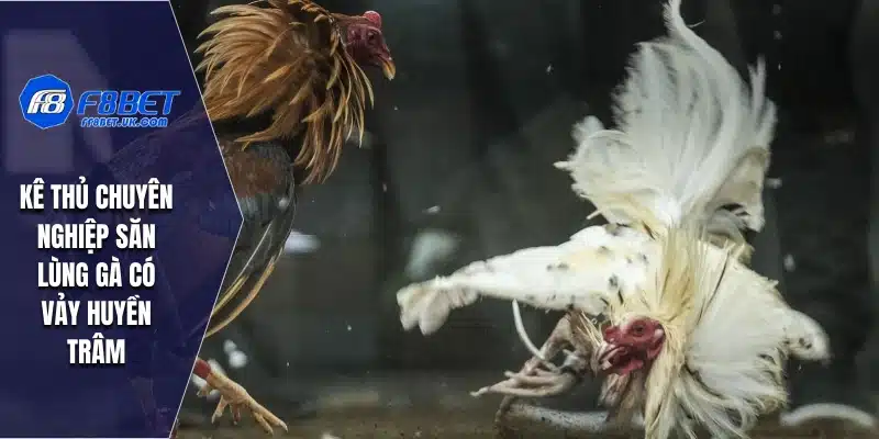 Kê thủ chuyên nghiệp săn lùng gà có vảy Huyền Trâm