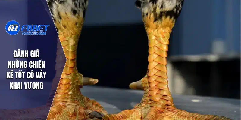 Đánh giá những chiến kê tốt có vảy Khai Vương